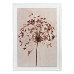 Панно декоративное Plant, с белой рамой, 50х70 см, Bergenson Bjorn, фото 
