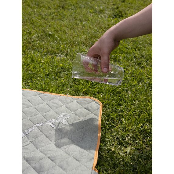 Плед для пикника и отдыха на пляже Smart Picnic, шалфей, Smart Solutions, фото , изображение 17