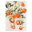 Панно декоративное Juicy orange, 70х100 см, Bergenson Bjorn, фото 