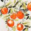 Панно декоративное Juicy orange, 70х100 см, Bergenson Bjorn, фото , изображение 9
